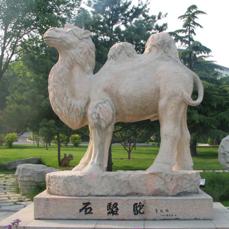 大型沙漠骆驼石雕
